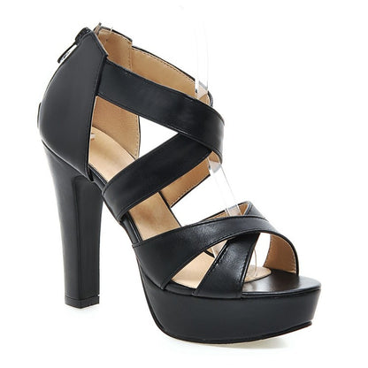 Women's Ultra High Heel Platform Chunky Heel Sandals