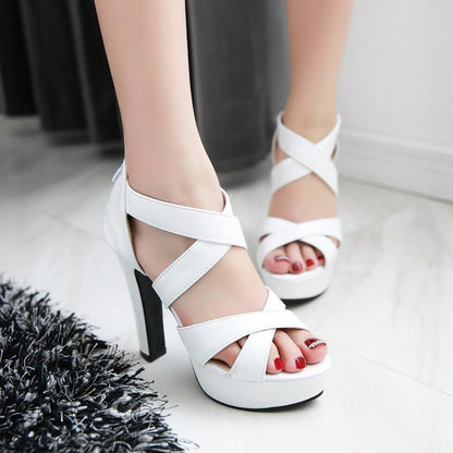 Women's Ultra High Heel Platform Chunky Heel Sandals