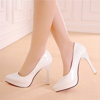 Women Pointed Toe High Heels Pumps