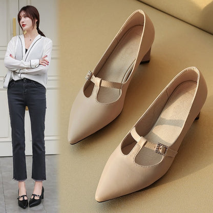 Women Pointed Toe Buckle High Heel Chunky Pumps